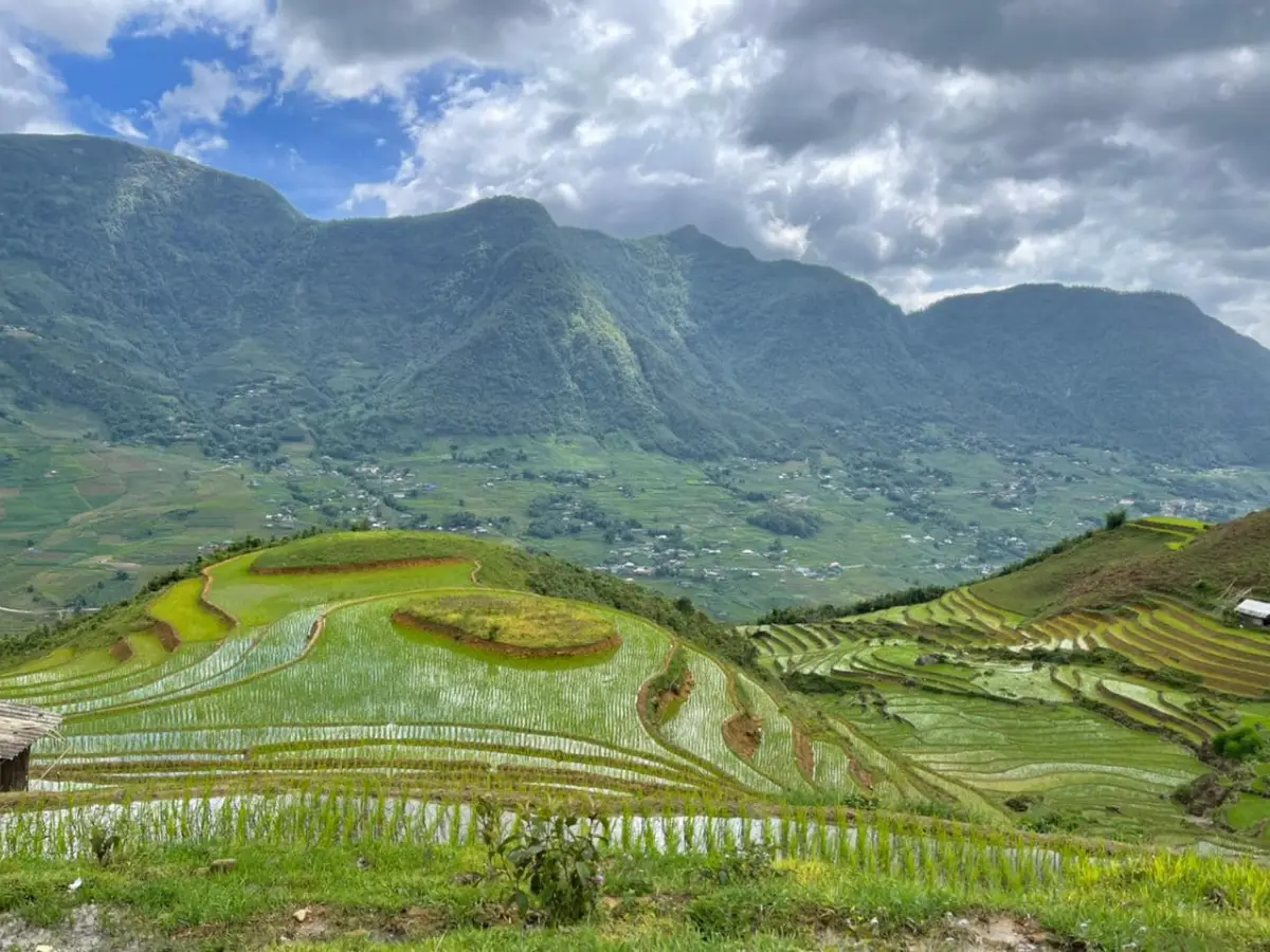 2-day homestay trek through Ta Van and Lao Chai villages Sapa Muong Hoa Valley