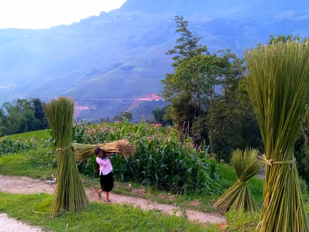 H'mong embroidery and indigo dyeing craft workshop in Sapa