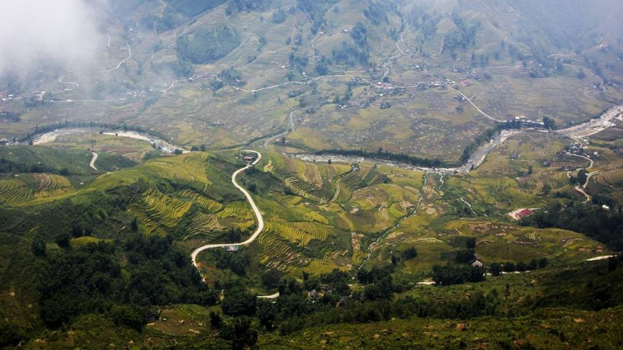 Cardamom fields in Ma Tra village — the start of the ridge trail on the Sapa nature homestay trek