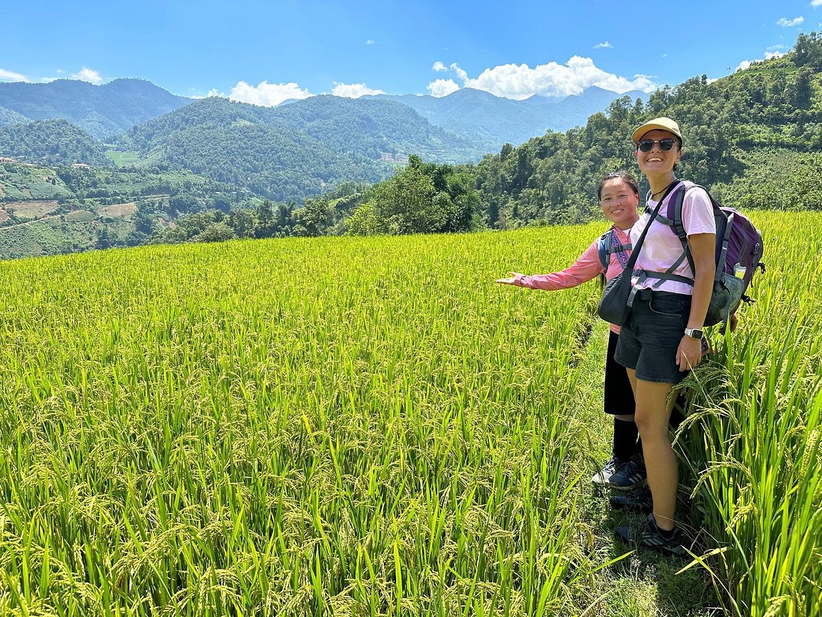 Guide and traveller in the green rice terraces above Ta Van village on a clear summer day