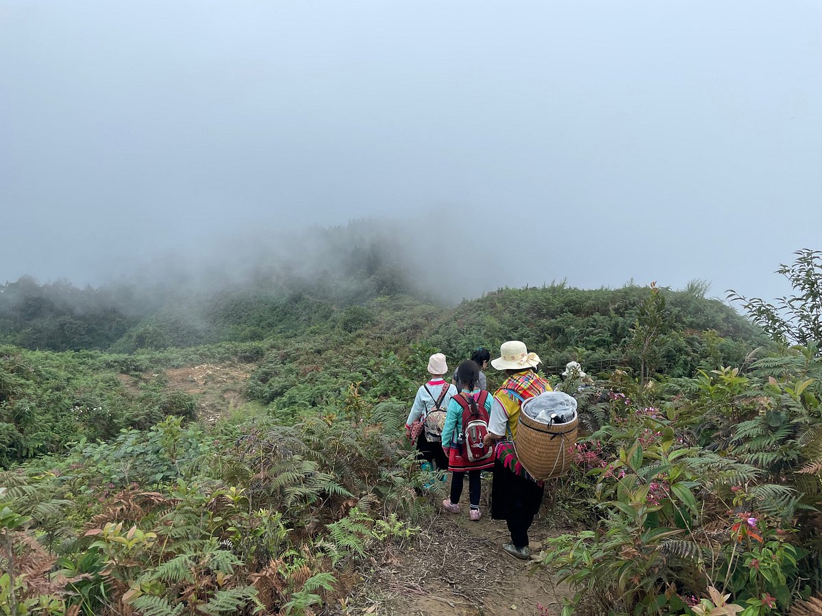 H'mong women and children heading to market along a misty mountain trail above the clouds