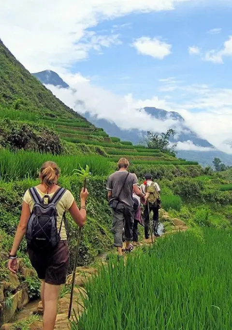Discover rice fields and nature Sapa