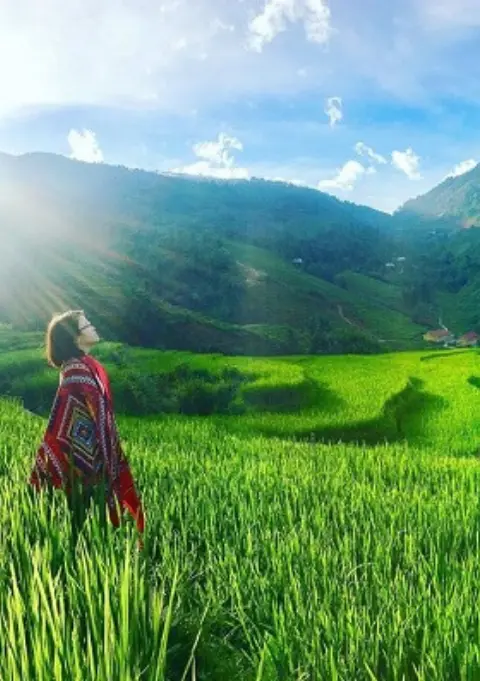 Rice Paddies and Cultures Easy Hiking — Sapa, Vietnam