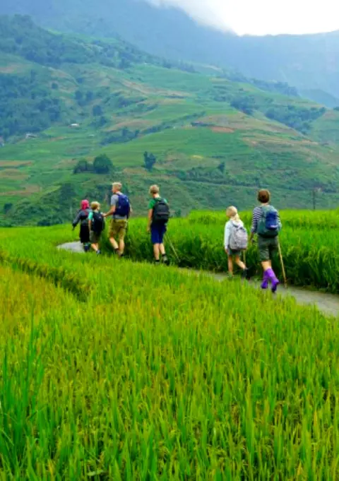 Sapa Easy Trekking For Seniors — gentle valley trails