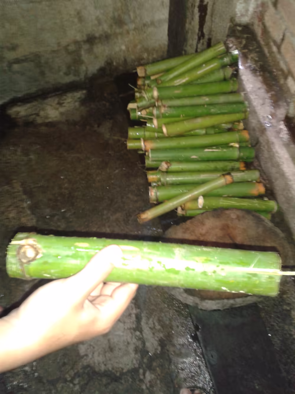 Com lam, sticky rice grilled in green bamboo tubes, a Sapa street-food staple