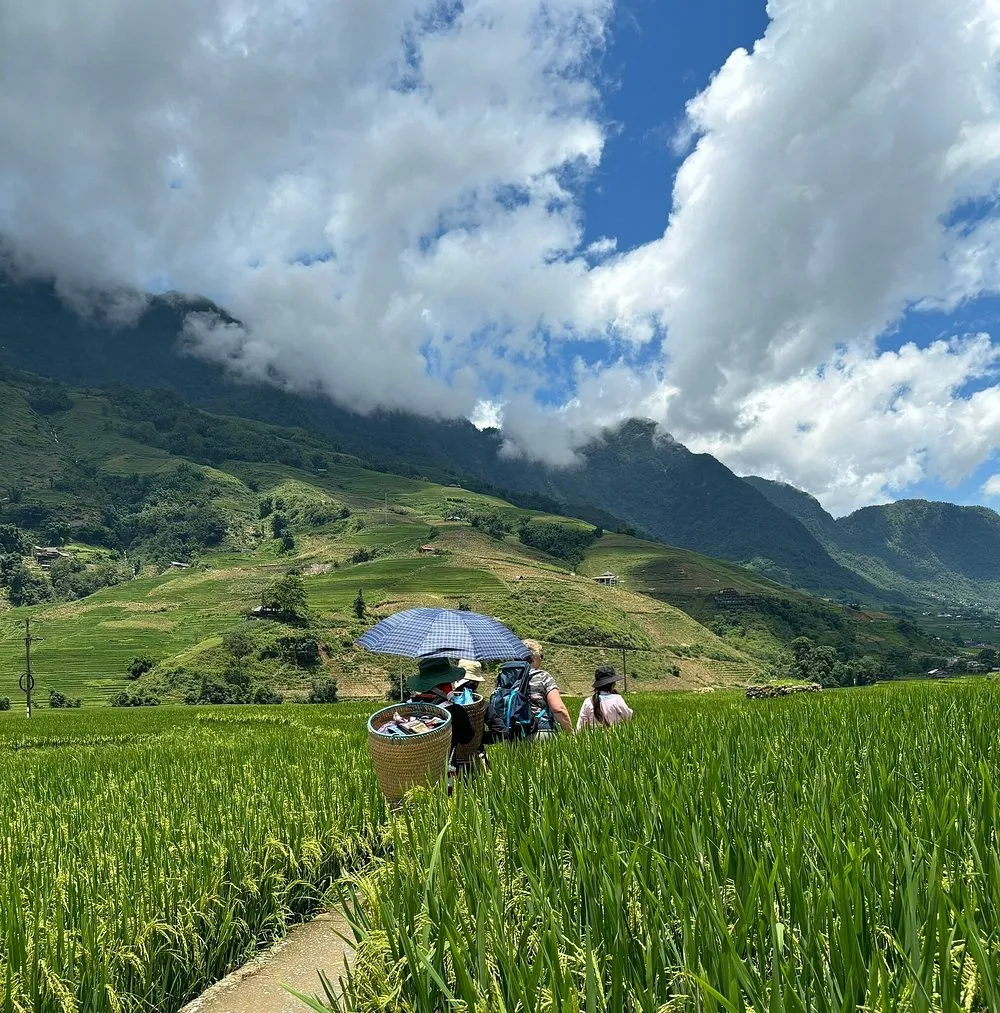 2 day 1 night rice terraced fields homestay Sapa