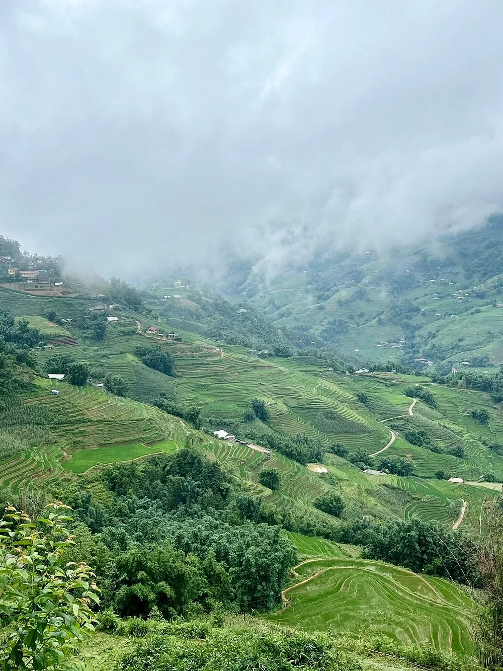 Valley view on the Discover Rice Fields and Nature 1-day trekking route, Sapa Vietnam