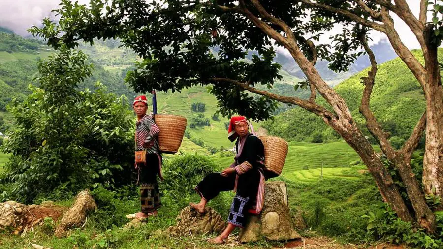 Easy trekking trail through Sapa rice paddies — gentle path toward Ta Phin village