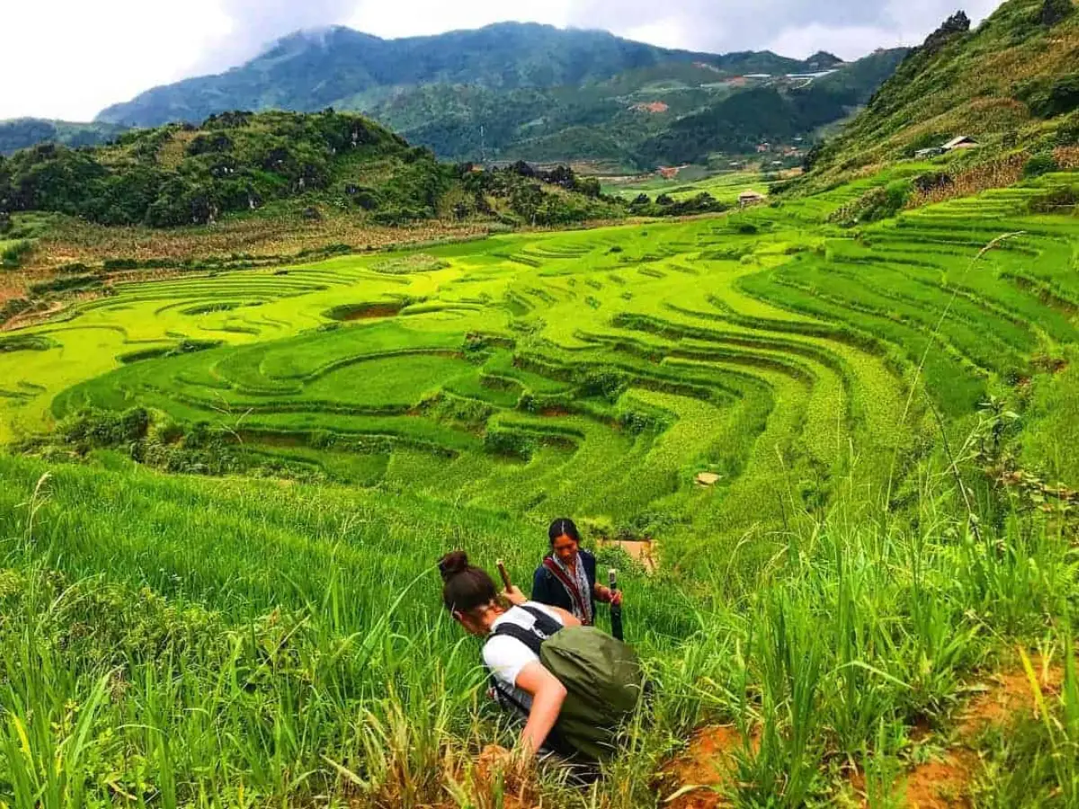 Easy trekking rice paddies cultures Sapa