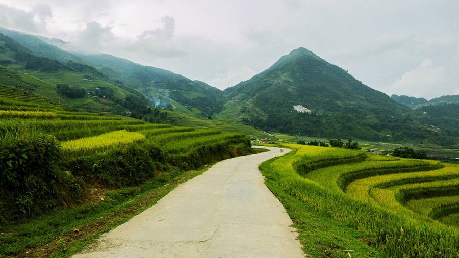 Black H'mong village path through cardamom gardens on the Suoi Ho easy trek route
