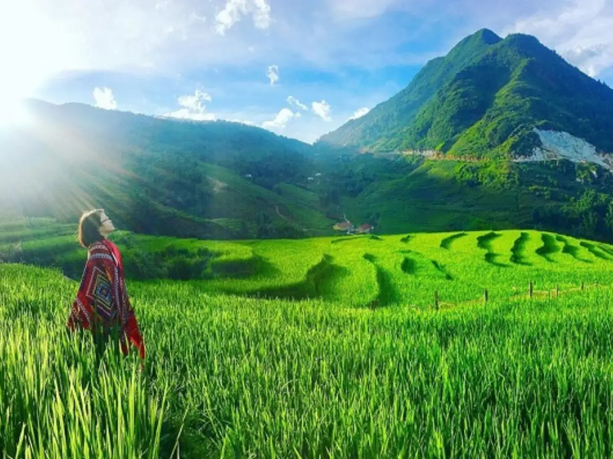 Sapa rice terraces and mountain scenery — comparing Sapa and Cao Bang