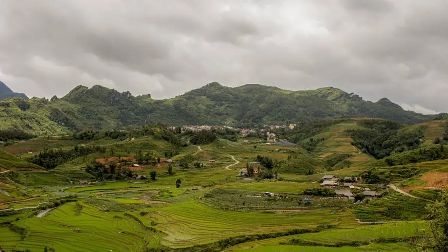 Local guide leading a small group on the easy rice paddies and cultures trek in Sapa