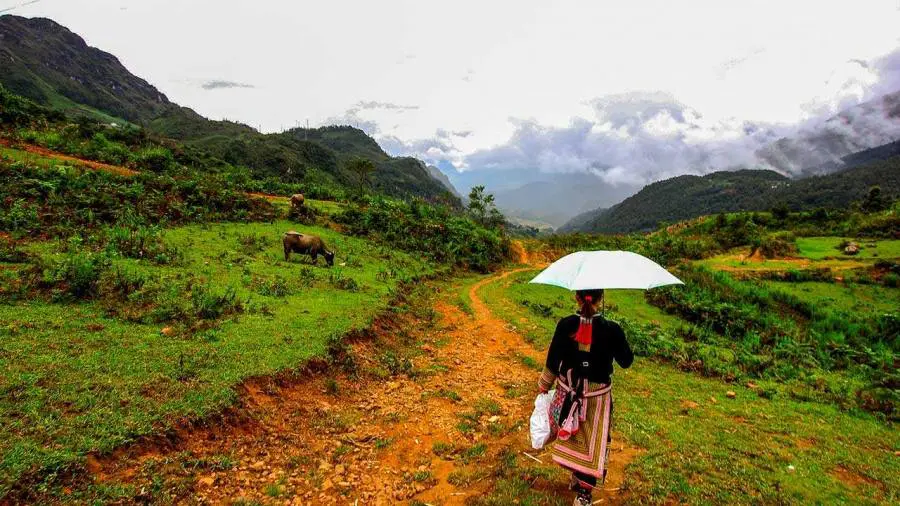 Red Dao women at Ta Phin village — traditional brocade weaving and herbal culture