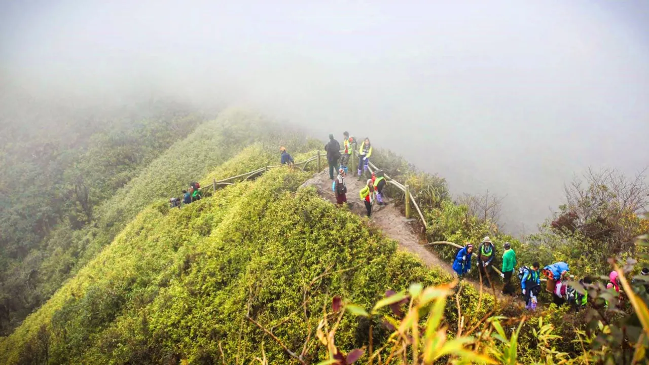 Trekkers on the misty Fansipan ridge trail in Hoang Lien National Park, Sapa, Vietnam