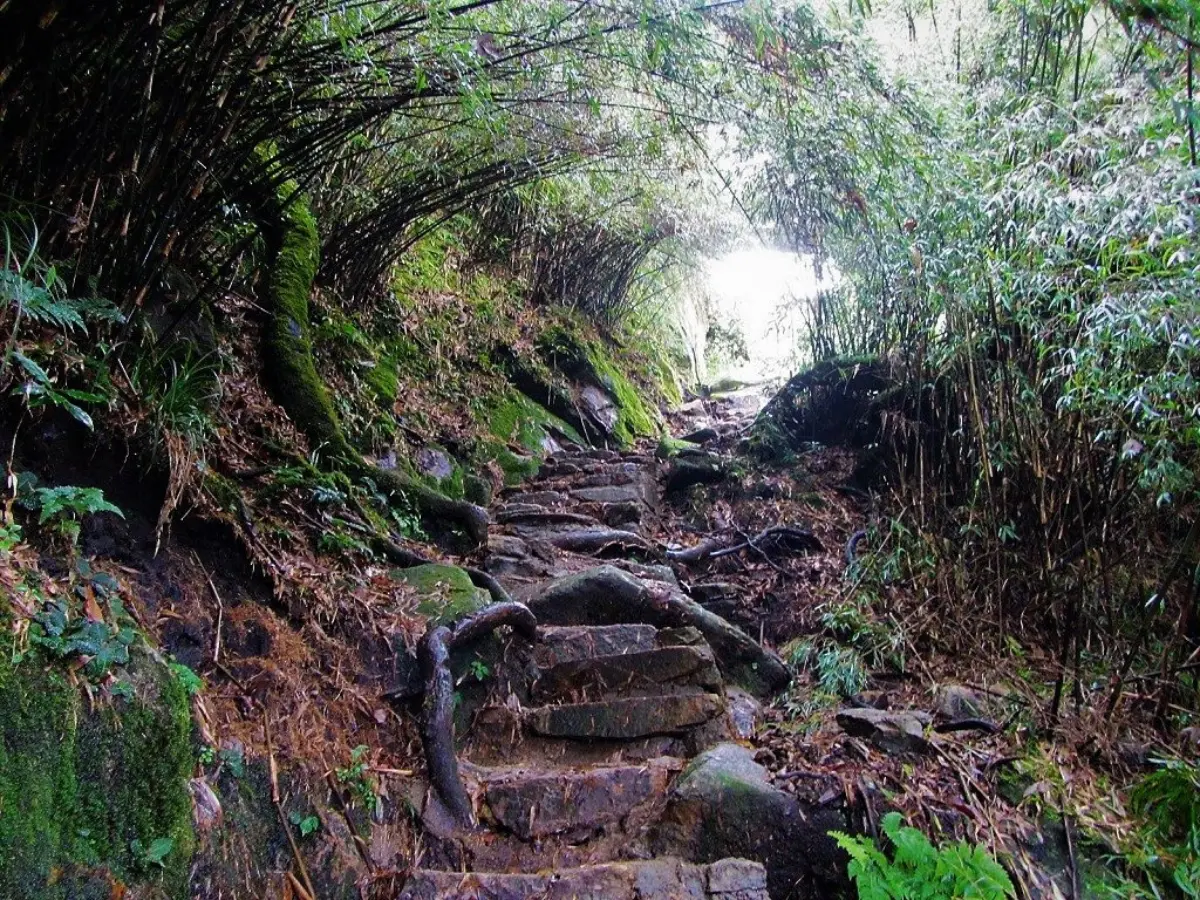Northern Vietnam valley scenery — Ninh Binh travel advice fact-checked