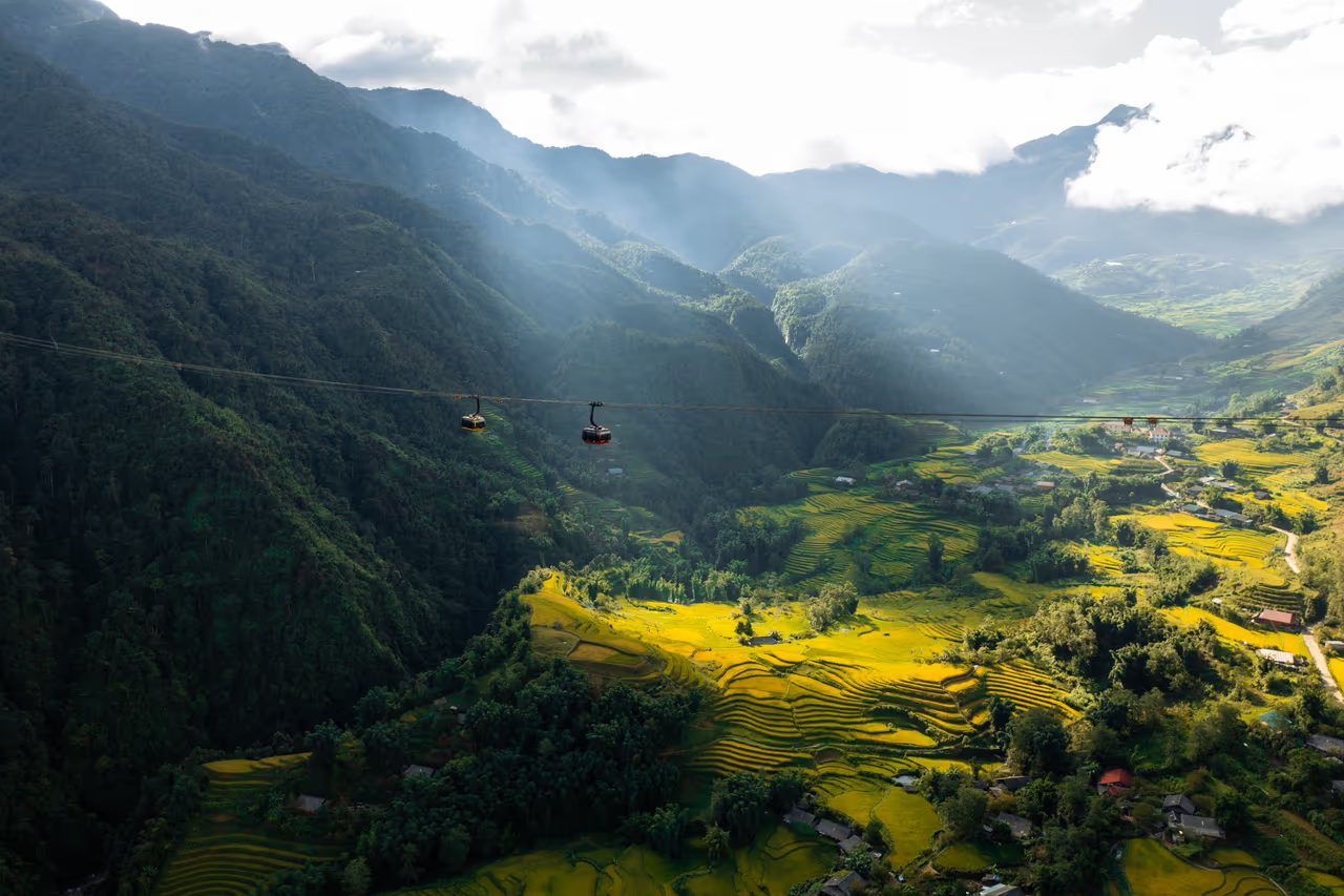 Sapa cable car cabins gliding over golden rice terraces toward the Fansipan summit