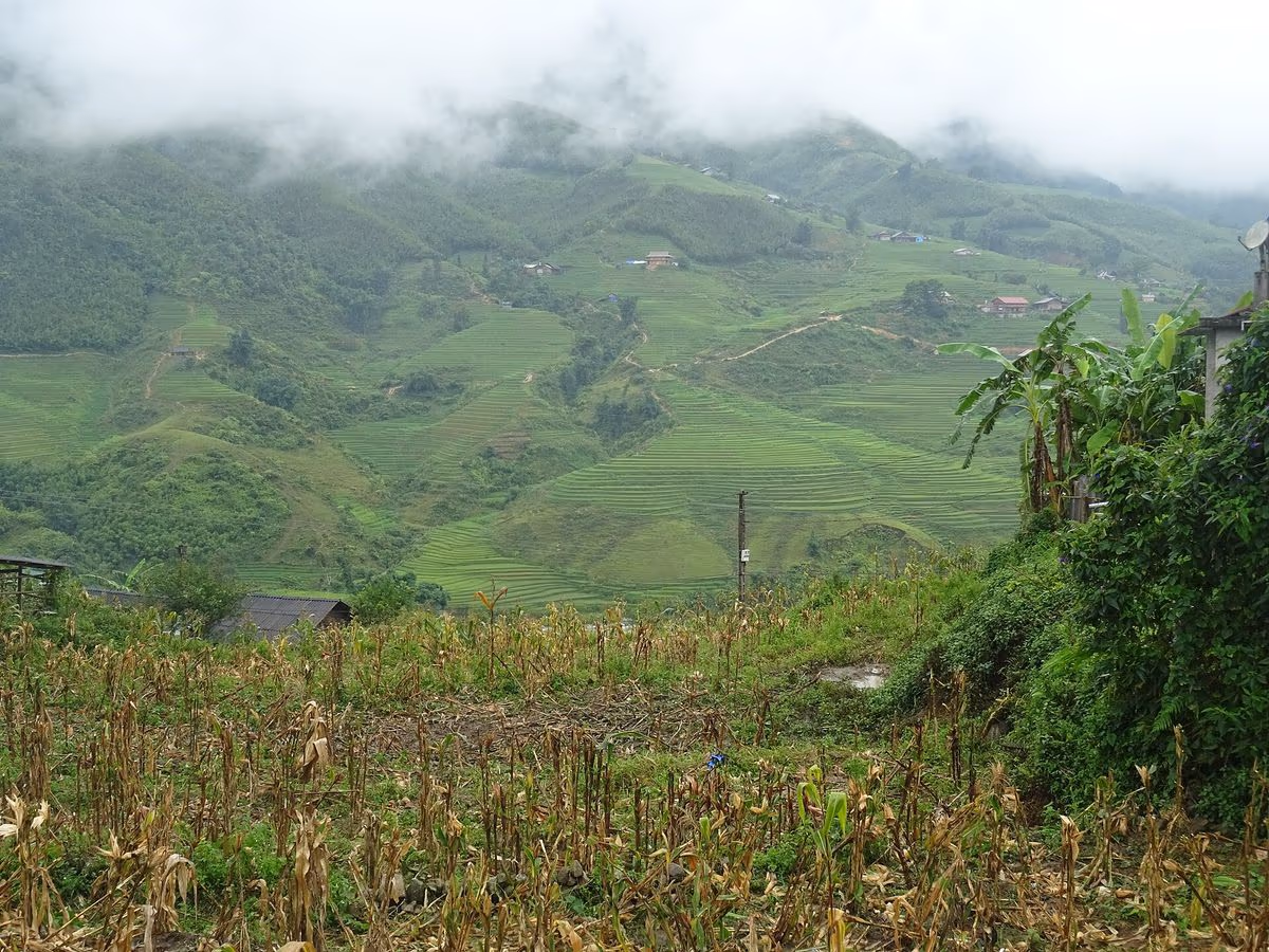 View from Hau Thao, near Giang Ta Chai, across the rice terraces of Ta Van in the Muong Hoa Valley