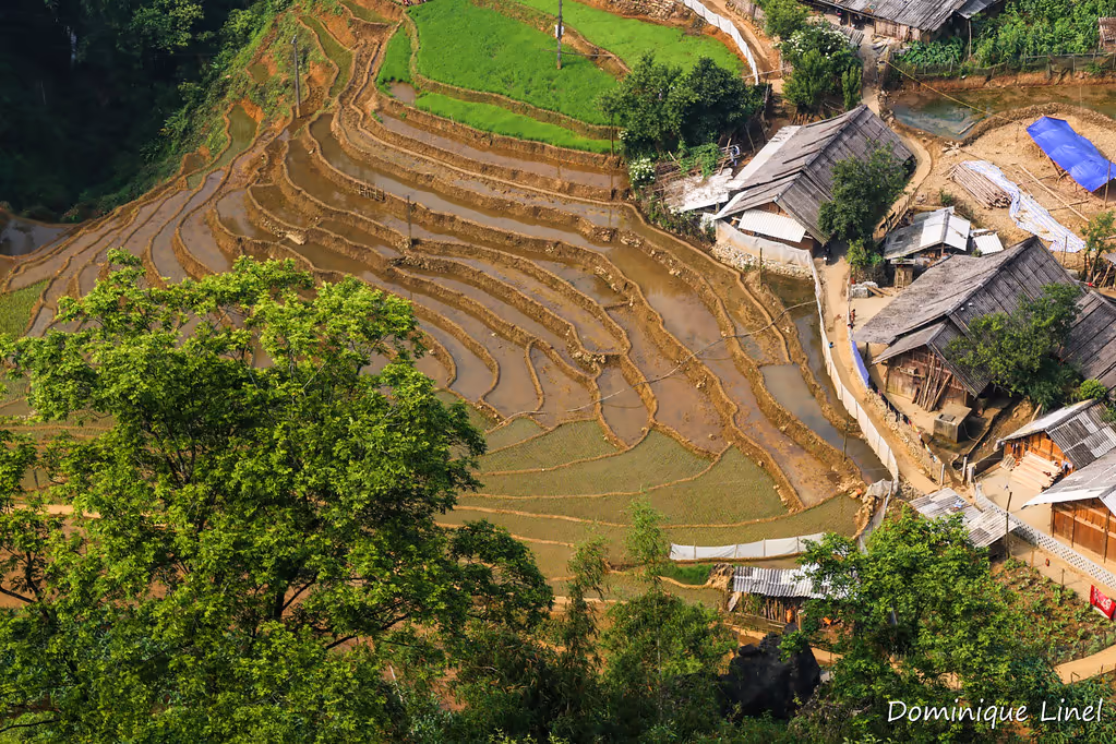Wooden houses and terraced paddies at Giang Ta Chai village, Sapa, at the start of the walk to Ta Van