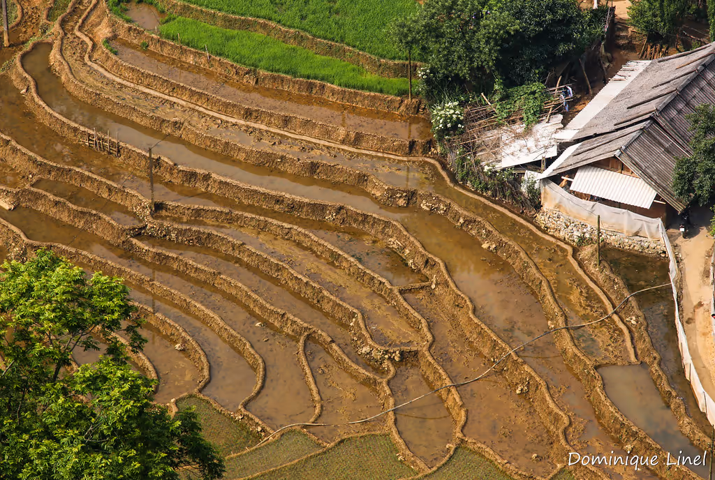 A house on the edge of steep terraced paddies at Giang Ta Chai, Muong Hoa Valley
