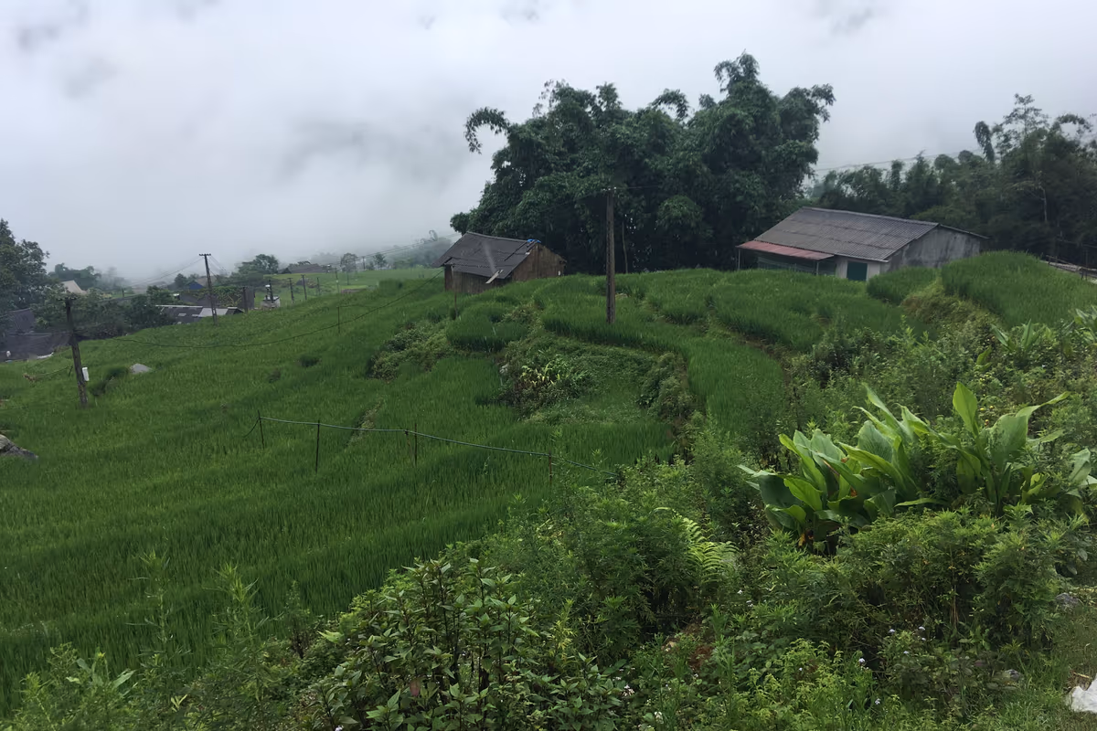 Scattered Black H'mong houses and rice terraces on the ridge near Hau Thao, Muong Hoa Valley, Sapa