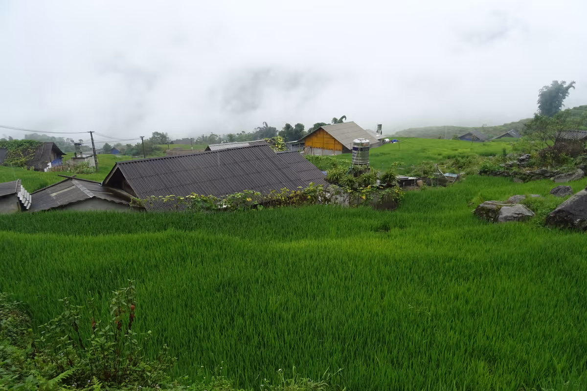 Cluster of Black H'mong farmhouses among green rice terraces near Hau Thao, Sapa, in August