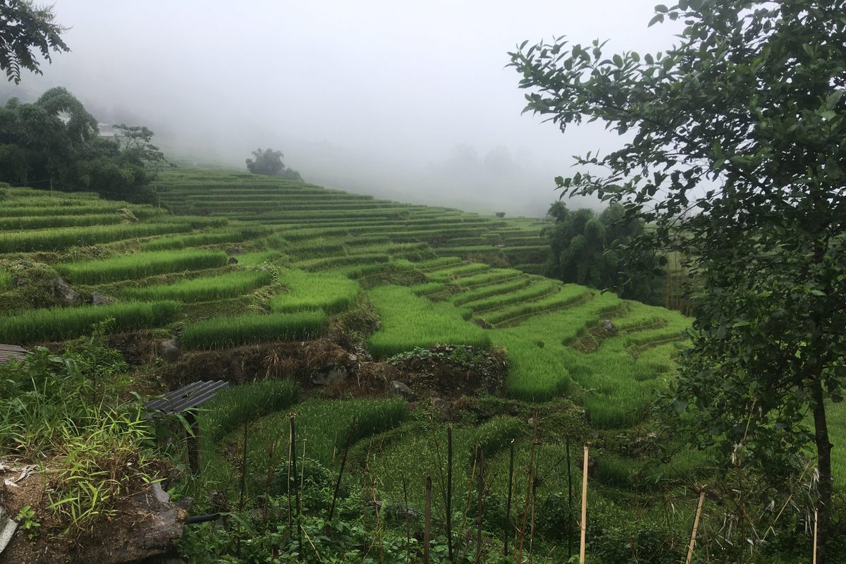 Hau Thao Village, Sapa: The Quiet Black H'mong Route Beyond Ta Van