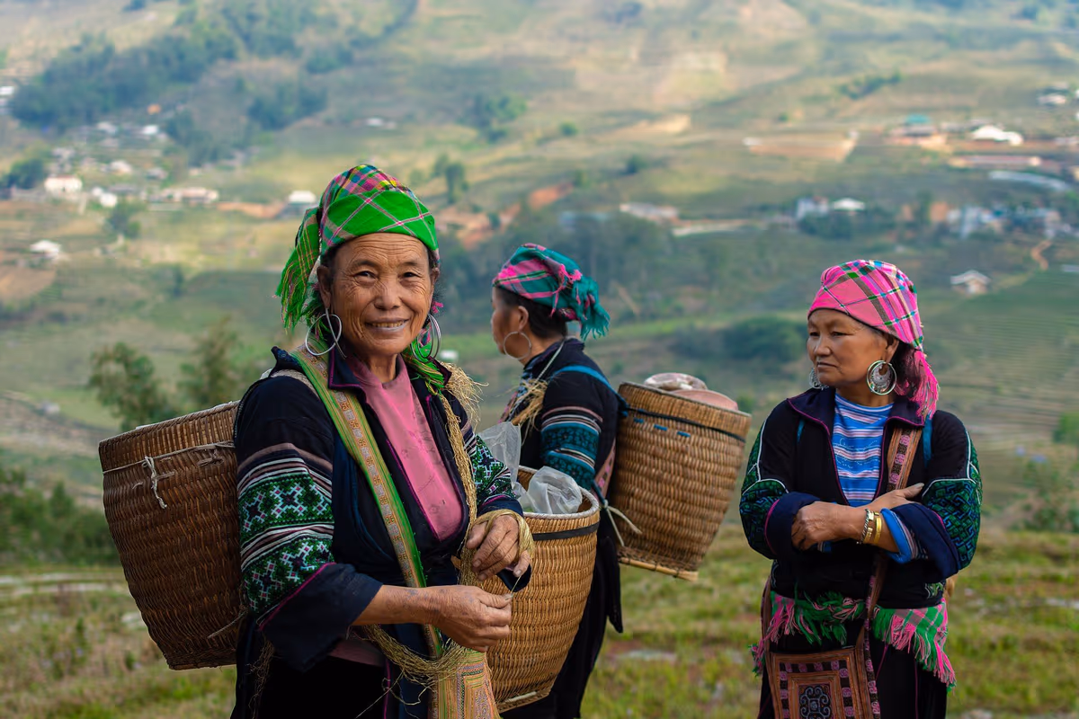 Three H'mong women in indigo traditional dress with silver earrings and baskets above terraced fields near Sapa
