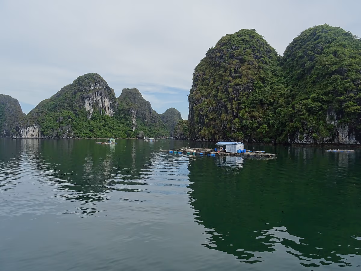 Floating wooden fish farms with small blue and green huts moored below steep forested limestone hills in Lan Ha Bay