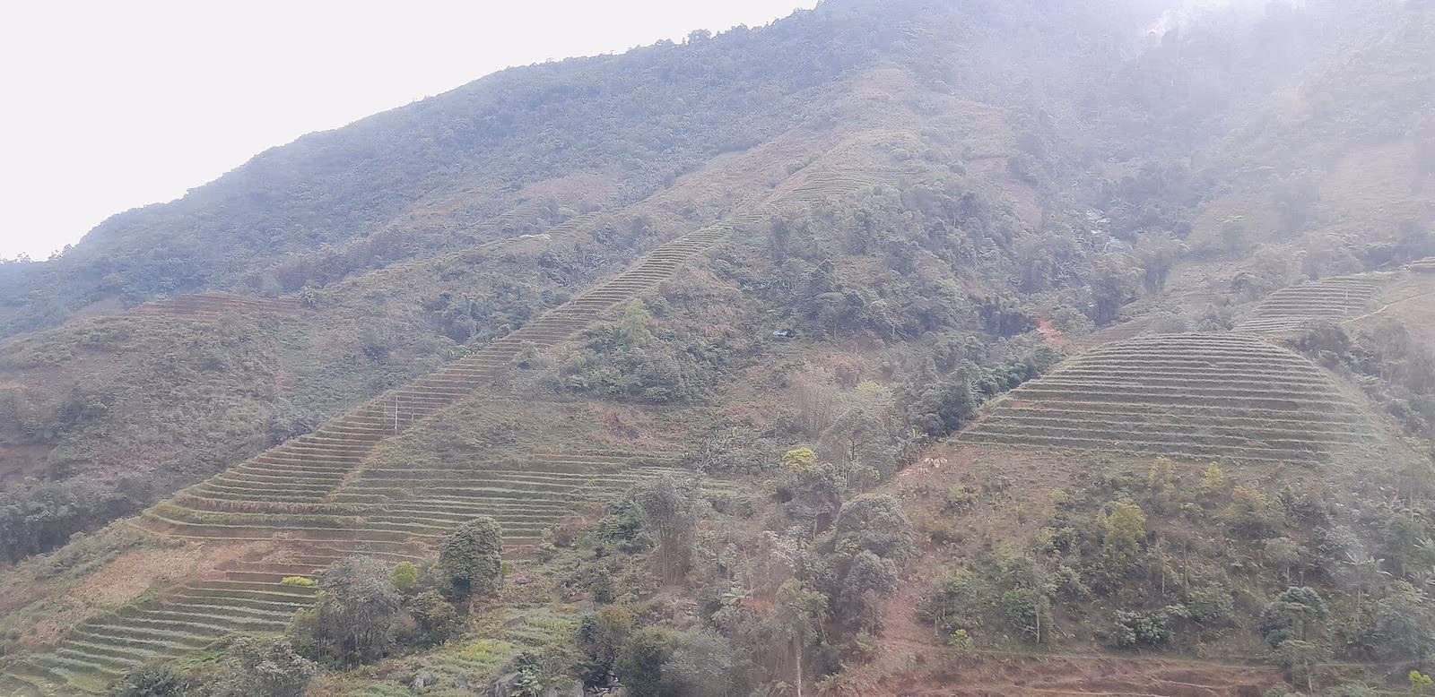 Steep green hillsides cut into narrow rice terraces under a misty sky