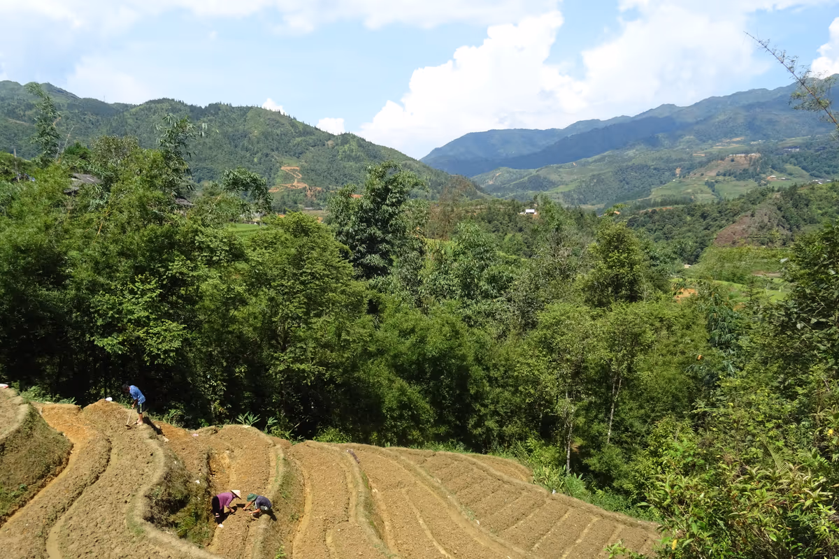 Farmers working a terraced field on the trail through the Ma Tra valley, Sapa