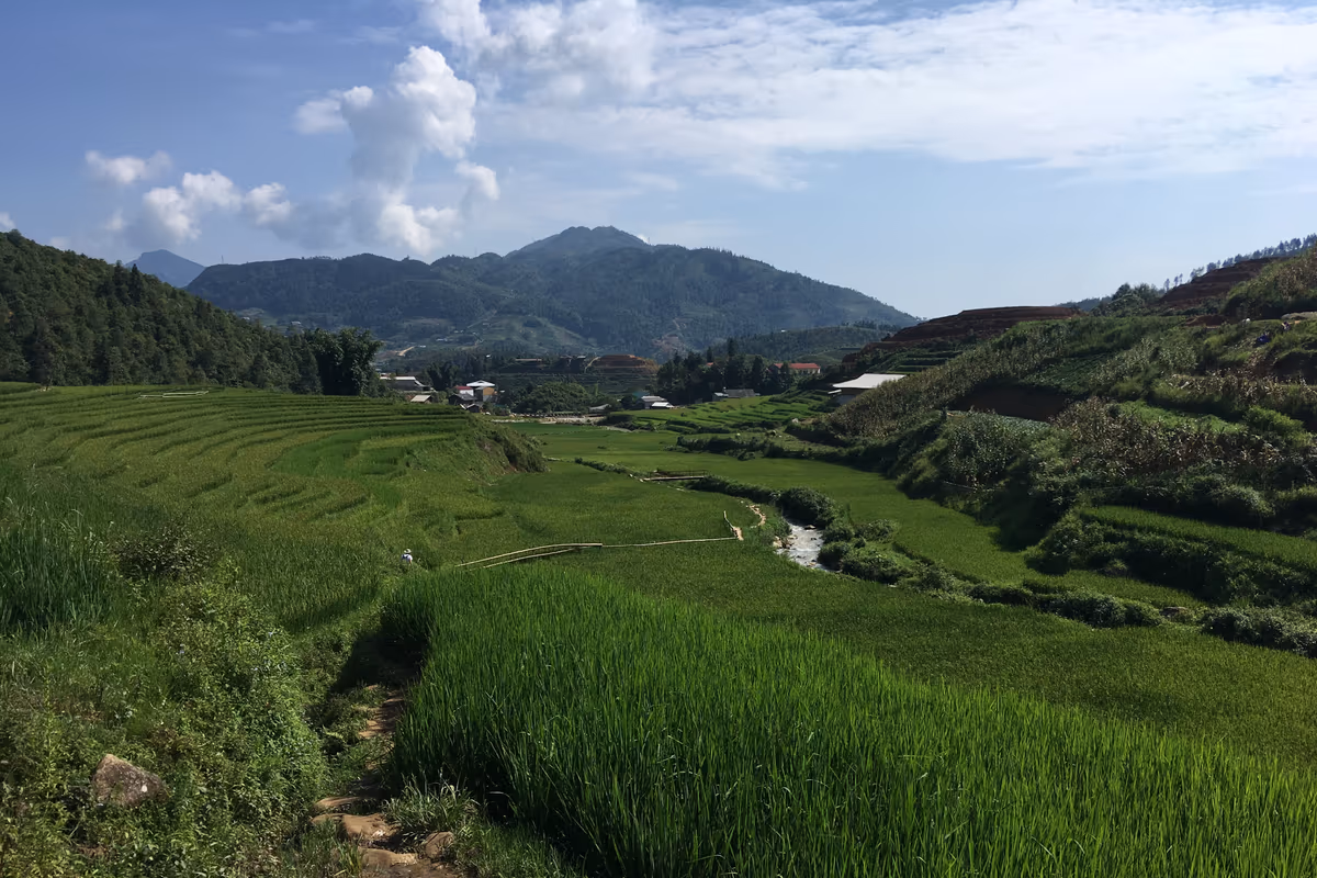 Dirt trail through green rice terraces on the route through the Ma Tra valley, Sapa
