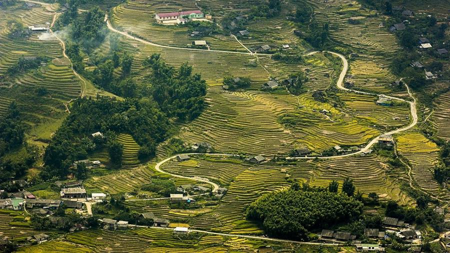 Trekking route through Sapa's rice terraced fields in Muong Hoa Valley