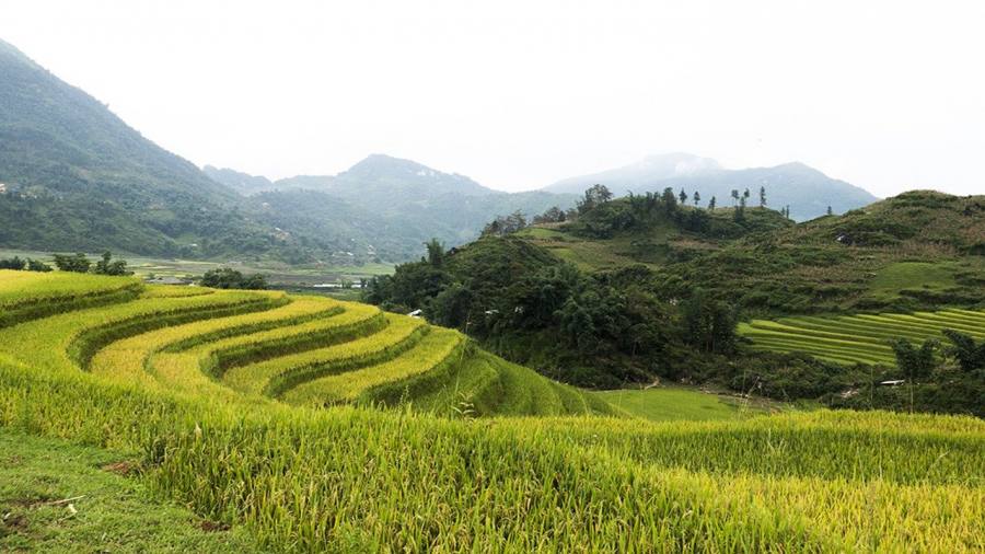 Motorbike rider on winding mountain road above the Muong Hoa Valley, Sapa 2-day tour