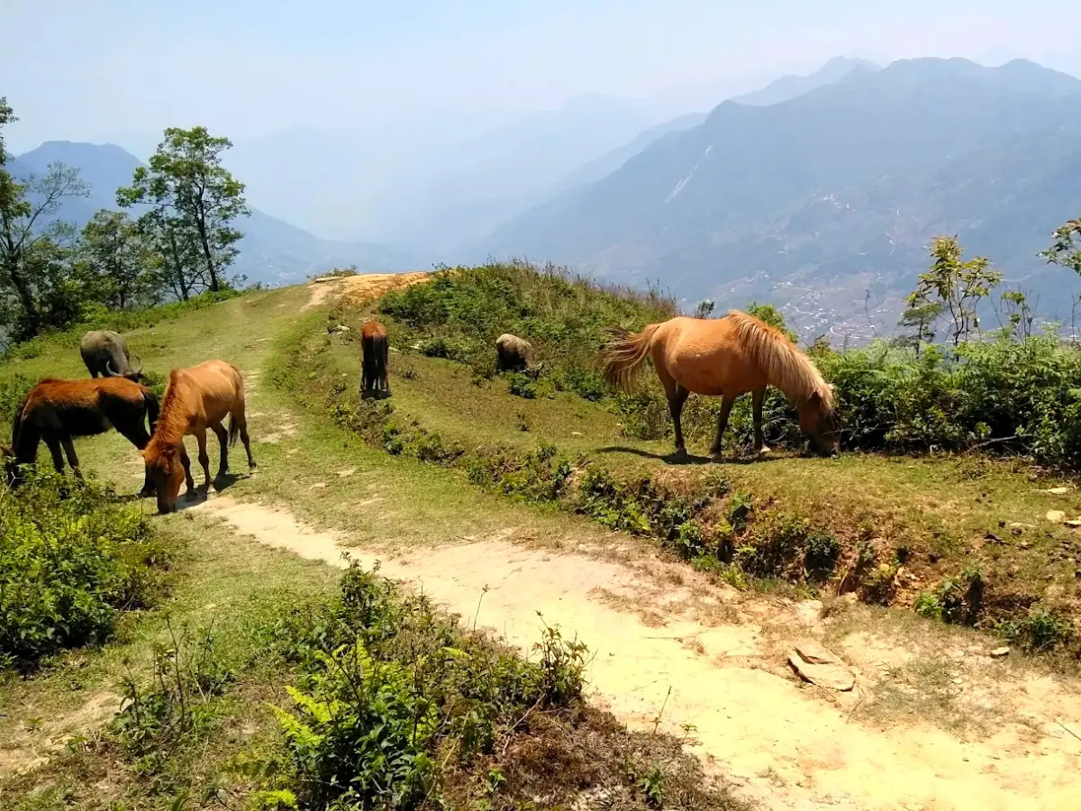Mountain views and villages trek Sapa