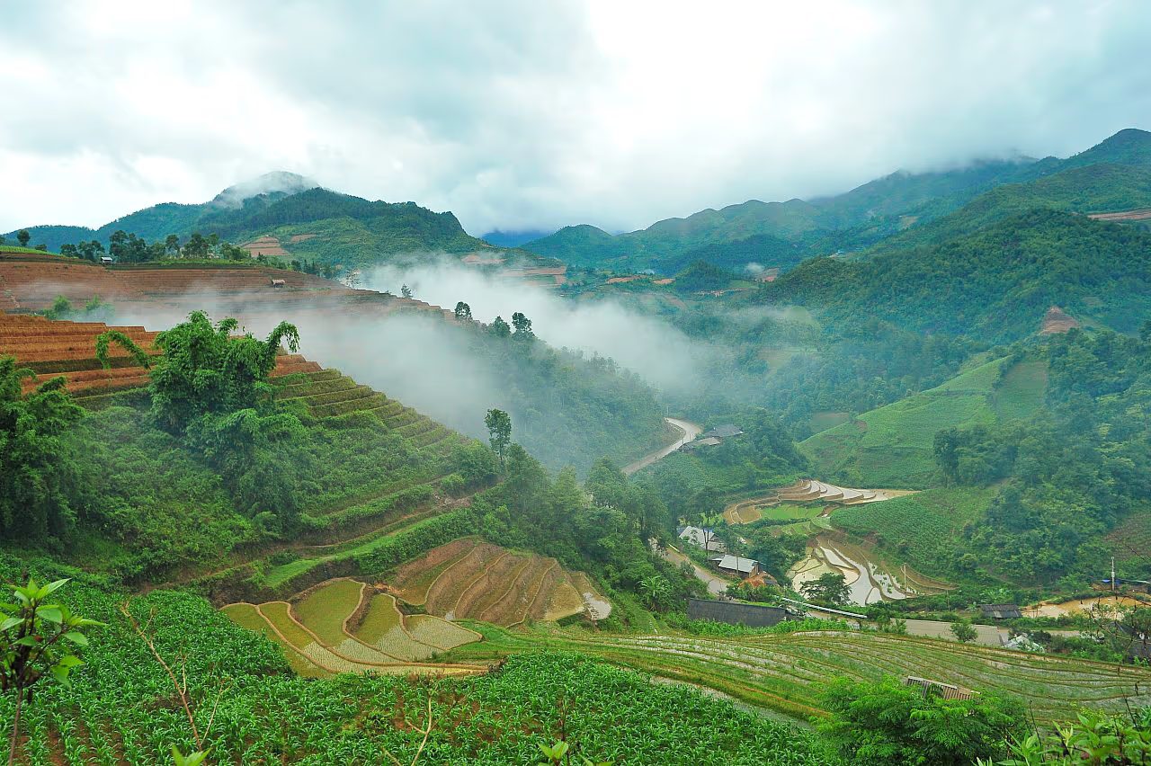 Golden rice terraces of Mu Cang Chai at harvest, the best month to visit northern Vietnam