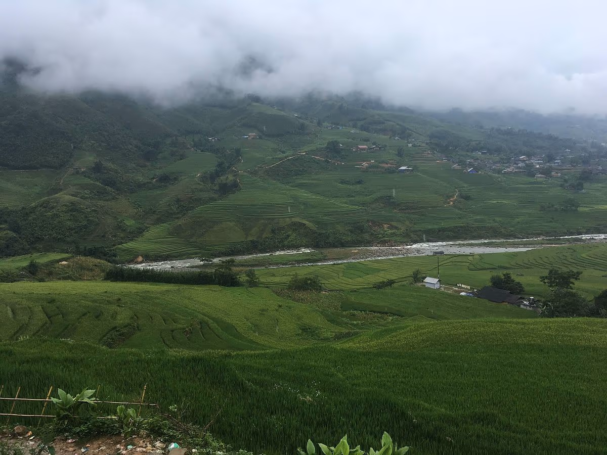 The Muong Hoa River between the terraces of Hau Thao and Ta Van under low cloud