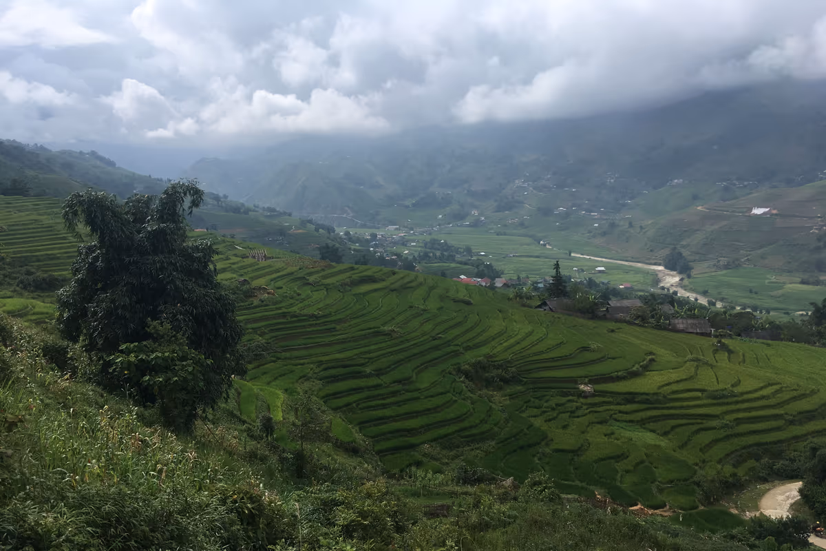 Terraced rice fields of the Muong Hoa Valley above Ta Van and Hau Thao, Sapa, Vietnam