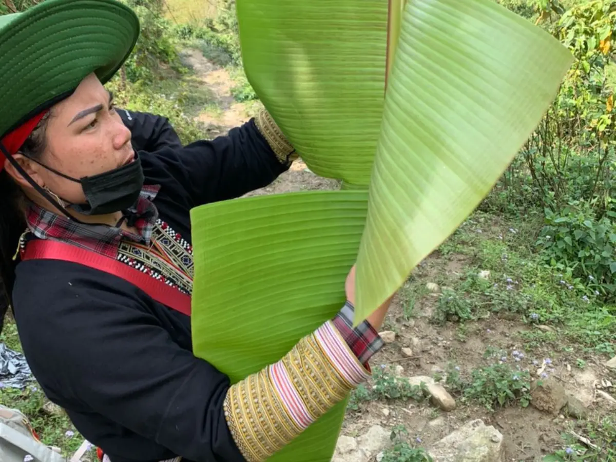 Explore nature and homestay 2-day trek Sapa