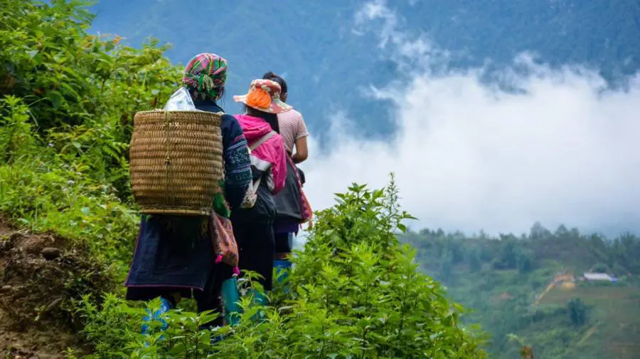 Local H'mong women overlooking the Muong Hoa Valley