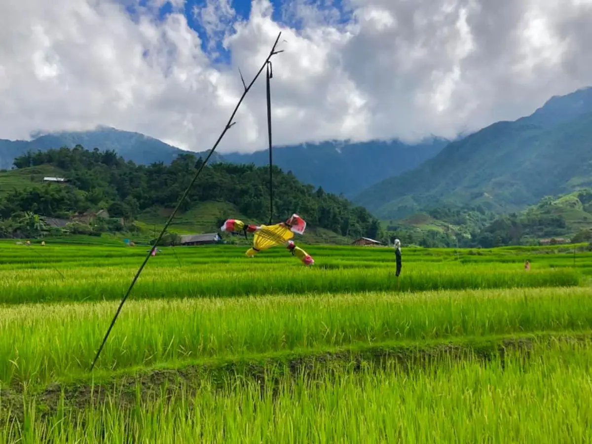 Sapa rice terraces with mountain backdrop — working remotely with views