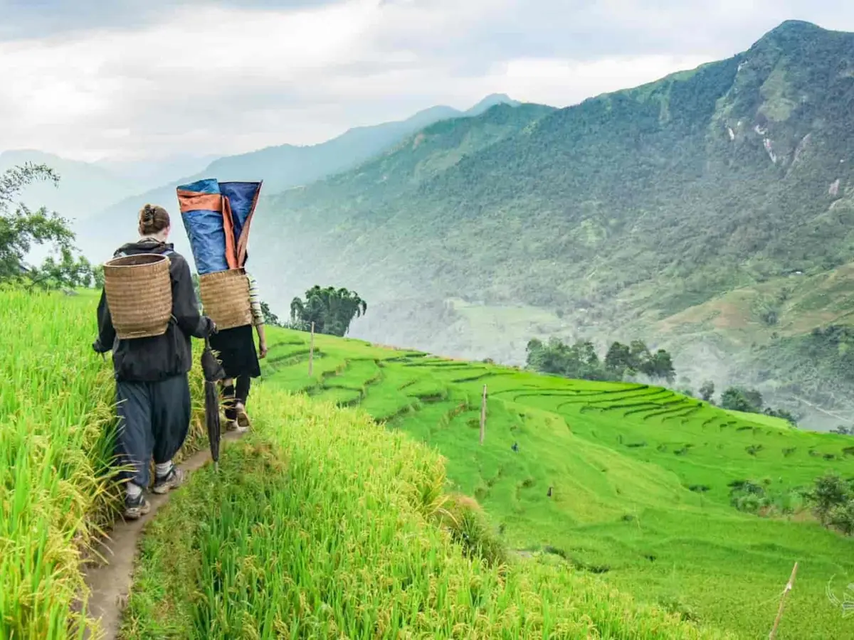 Two trekkers following a narrow path along the rice terrace ridges in the Muong Hoa Valley, Sapa — Green terraces descend to the left, misty mountains in the background