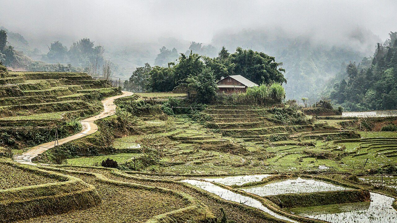 A trail through misty rice terraces in the Muong Hoa Valley, Sapa