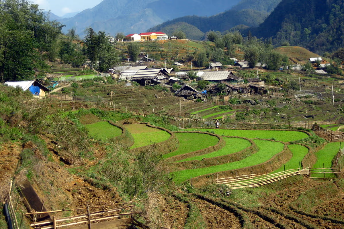 Rice terraces and timber houses in Sin Chai village with mountains of the Hoang Lien range behind, Sapa