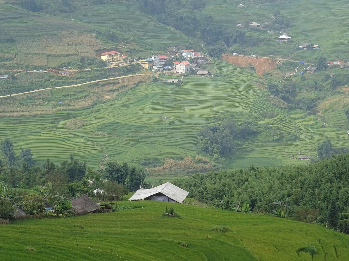 Hau Thao and its terraces seen from Ta Van across the Muong Hoa Valley, Sapa
