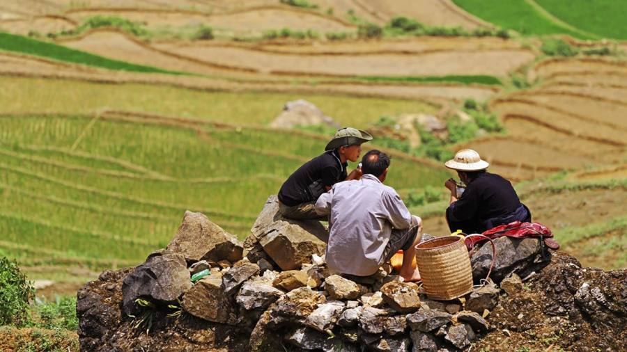 Black H'mong guide leading trekkers along a narrow ridge trail above Hang Da village