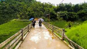 Working With Hmong Women On The Hanging Bridge