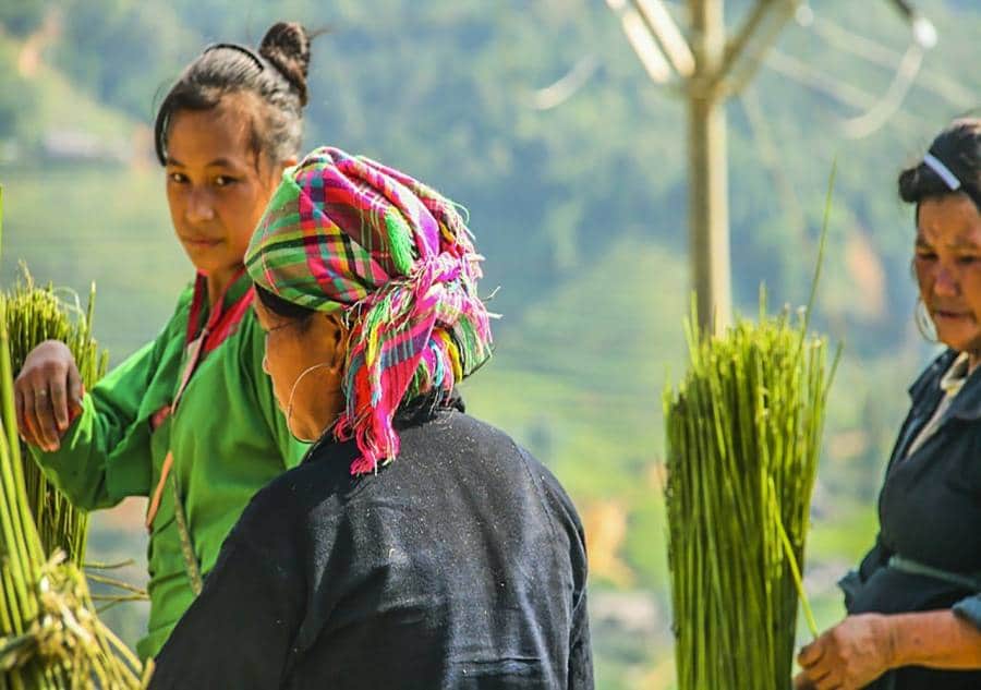 Hmong Women In Sapa