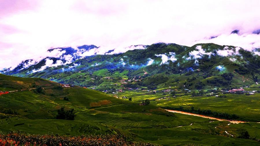 Muontain Rice Fields In Ta Van Village