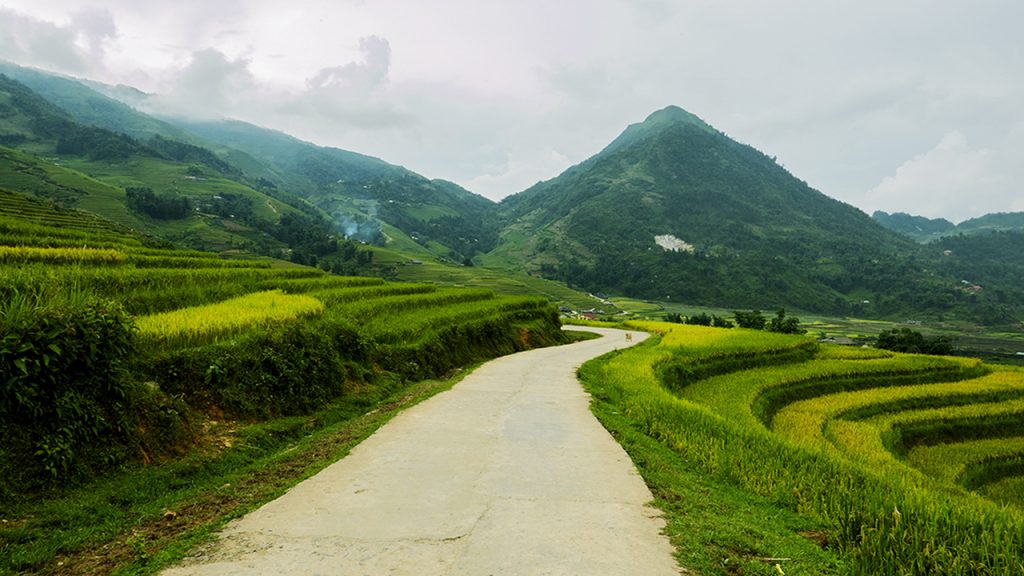 The Way To Ta Phin Village