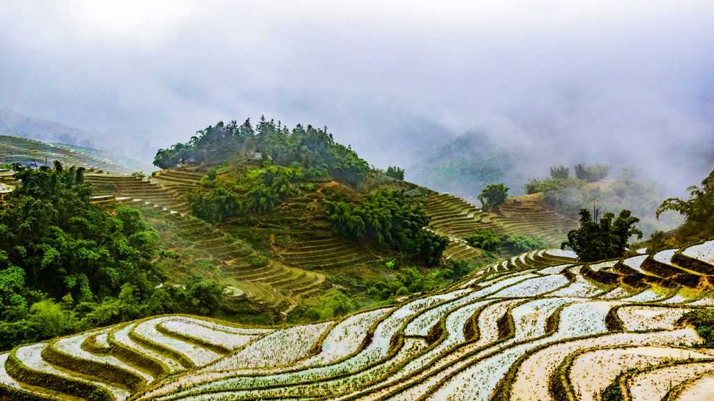 Sapa In Winter